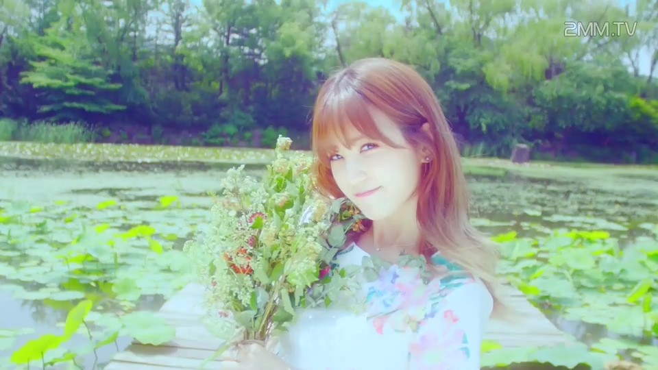 韩国MV 617-A Pink &ndash Flower Petal(Naver)